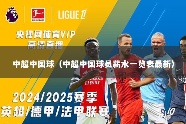 中超中国球（中超中国球员薪水一览表最新）