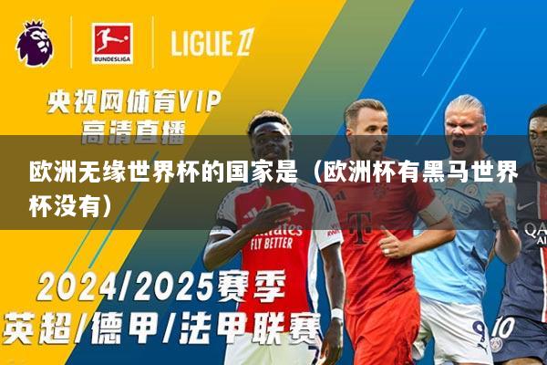 欧洲无缘世界杯的国家是（欧洲杯有黑马世界杯没有）