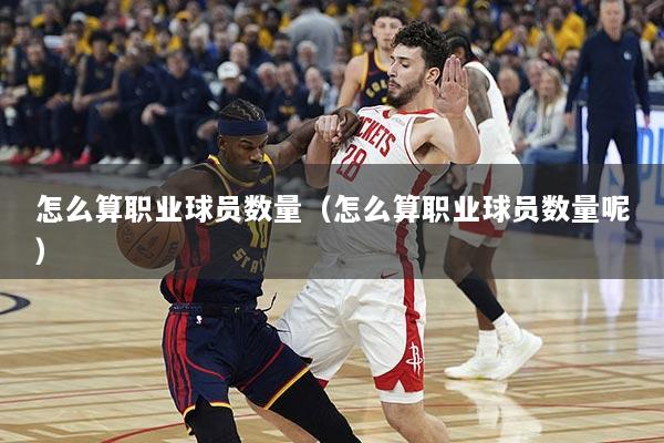 怎么算职业球员数量（怎么算职业球员数量呢）