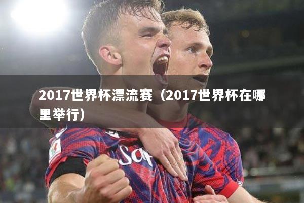 2017世界杯漂流赛（2017世界杯在哪里举行）